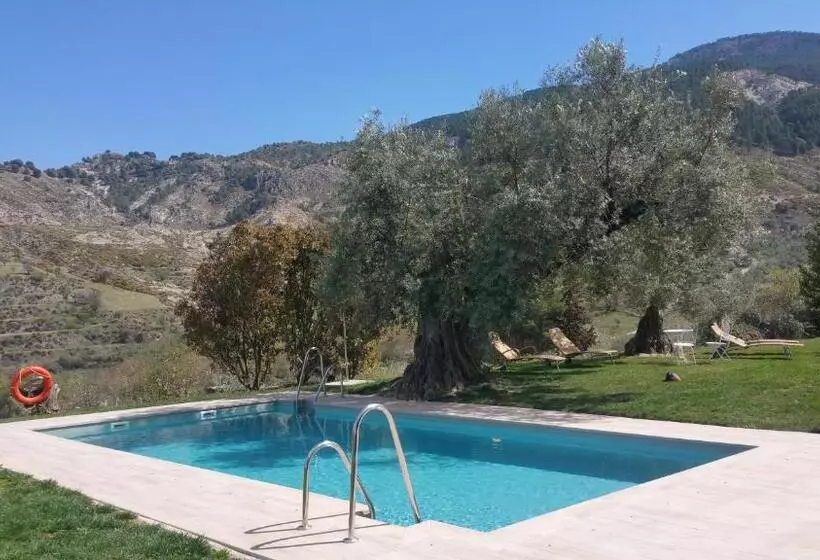 Сельский отель La Almunia Del Valle