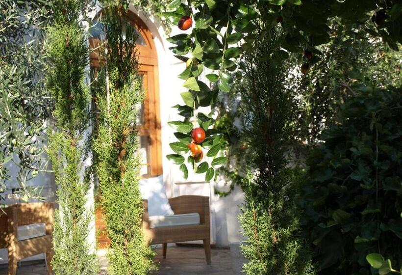 فندق ريفى La Almunia Del Valle