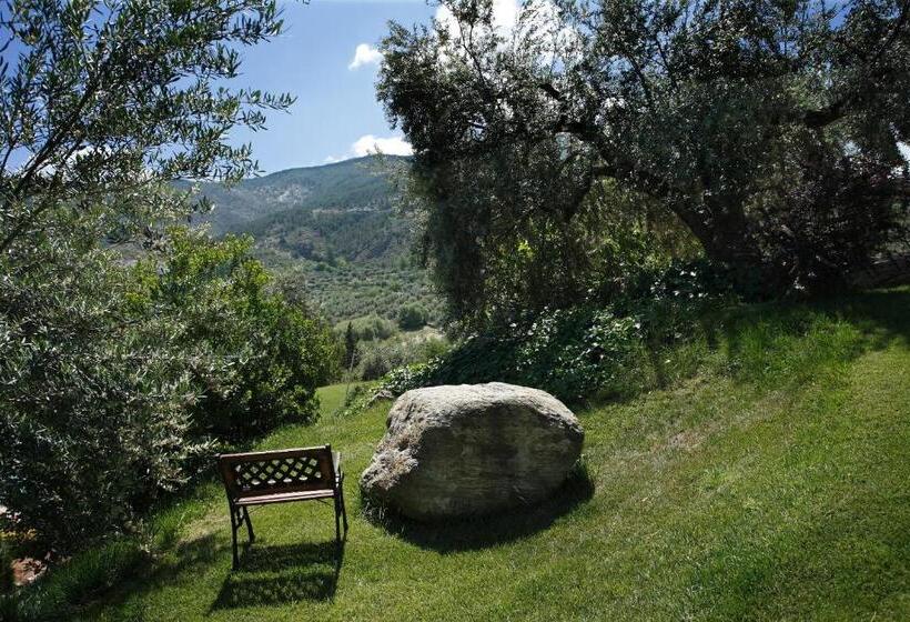 فندق ريفى La Almunia Del Valle