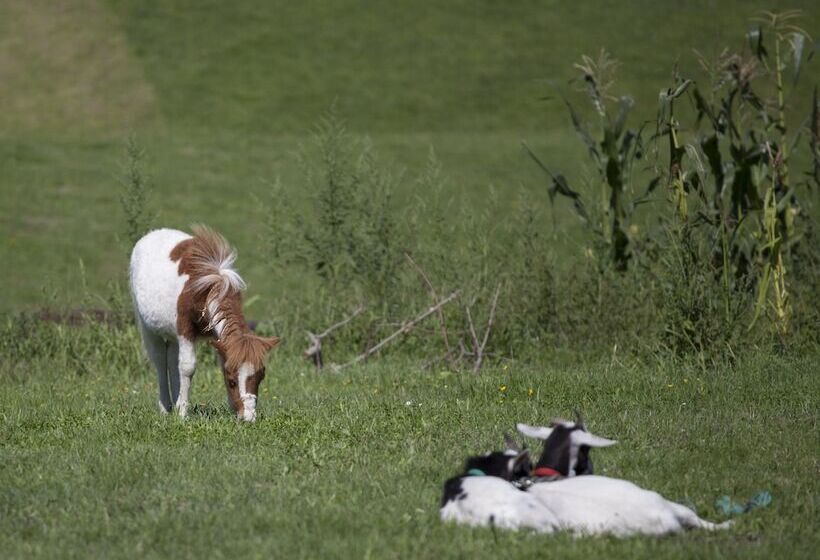فندق ريفى Rural La Llosa De Fombona