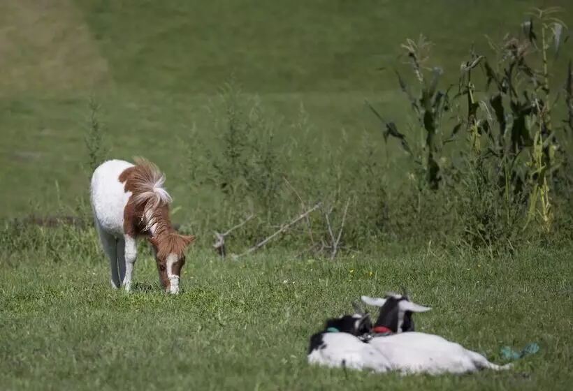 乡村酒店  Rural La Llosa De Fombona