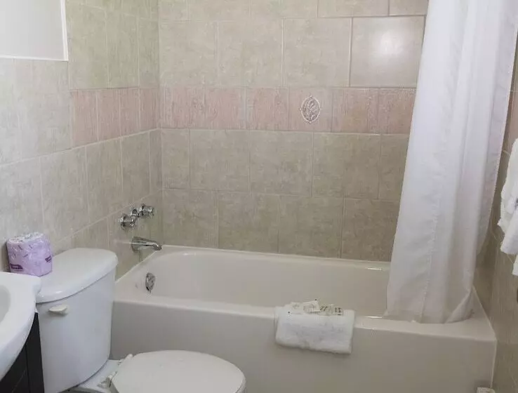 מוטל A1 Inn Niagara Falls