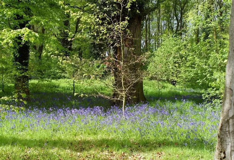 فندق Scalford Country House