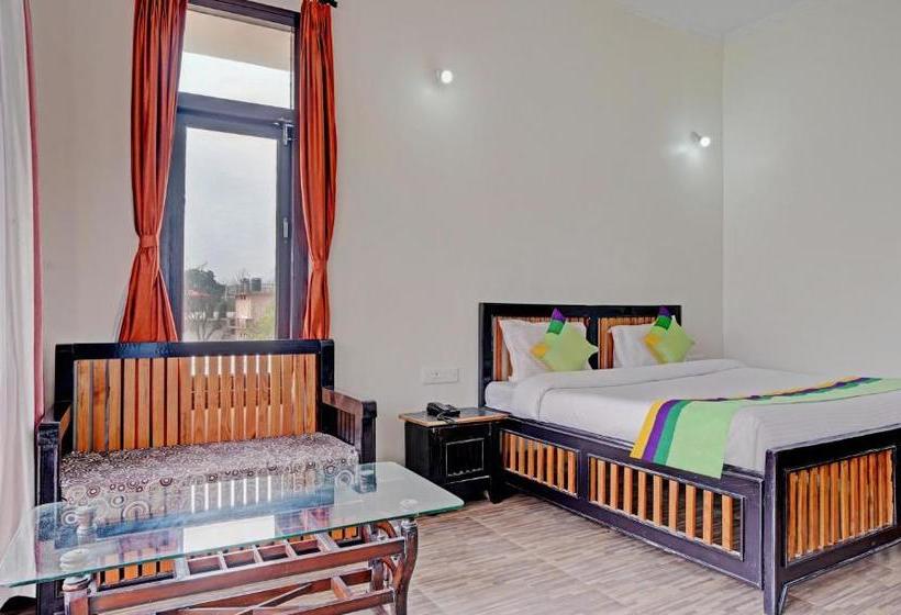 Szálloda Spring Birds