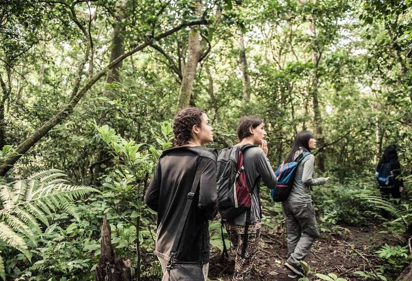 تختخواب و صبحانه Sauraha Holiday Home