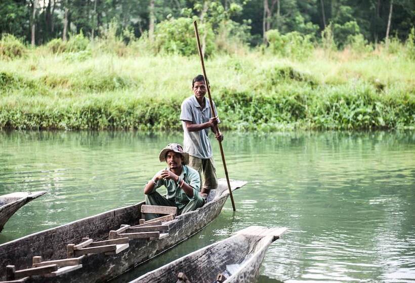 تختخواب و صبحانه Sauraha Holiday Home