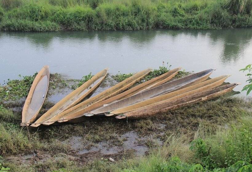 تختخواب و صبحانه Sauraha Holiday Home