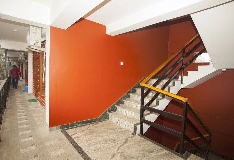 تختخواب و صبحانه Sauraha Holiday Home