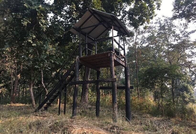 تختخواب و صبحانه Sauraha Holiday Home