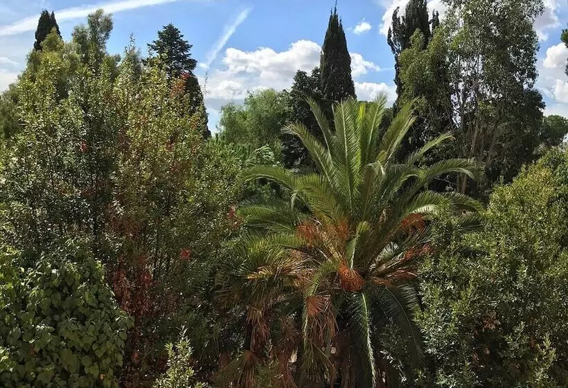 هتل Garden Area Roma Eur