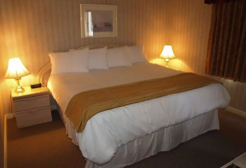 酒店 Auberge Du Draveur