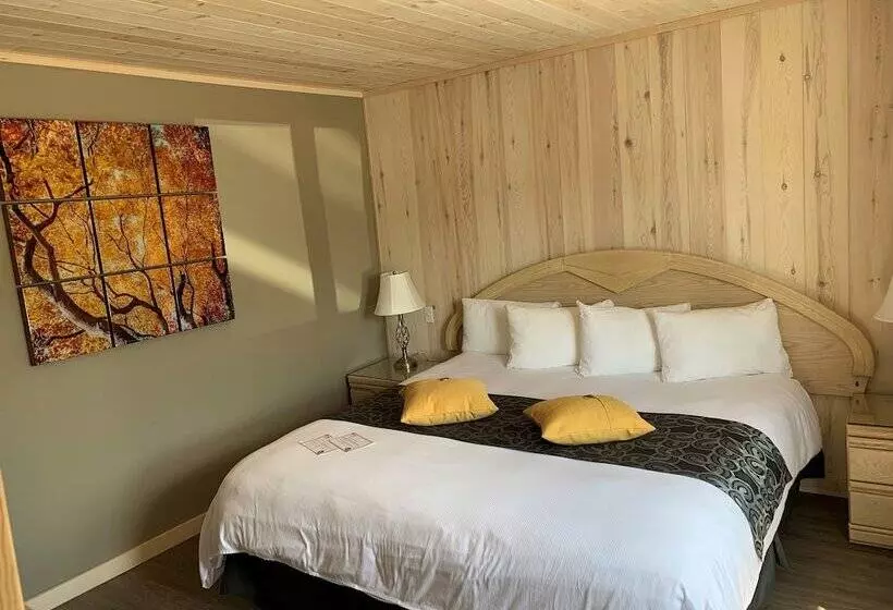 酒店 Auberge Du Draveur