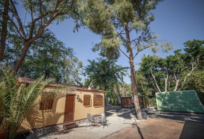 בית מלון כפרי Camping Las Palmeras