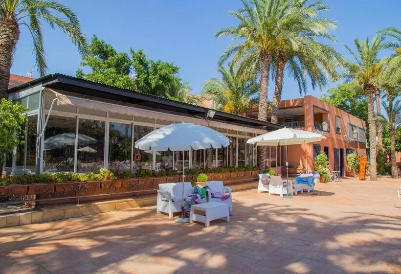 酒店 Camping Las Palmeras