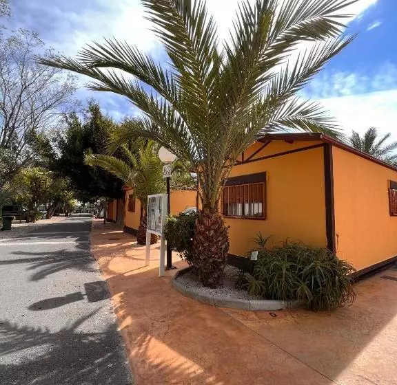 酒店 Camping Las Palmeras