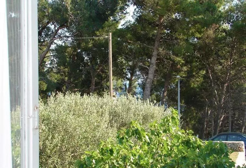 هتل Centar Marijan