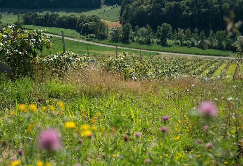 فندق Das Eisenberg