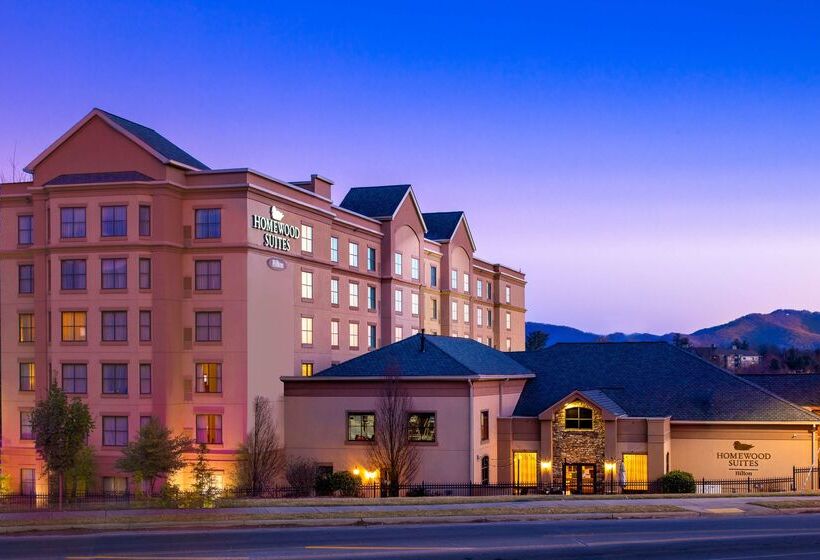 فندق Homewood Suites By Hilton   Asheville