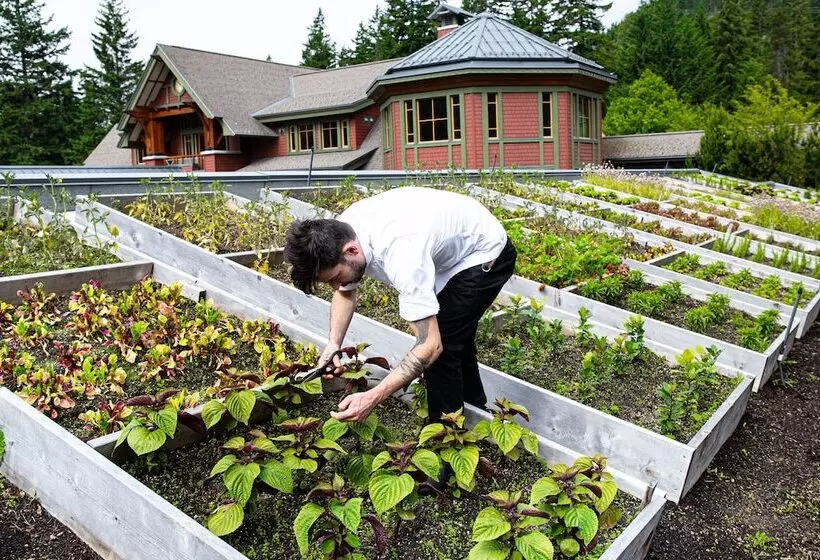 ホテル Nita Lake Lodge