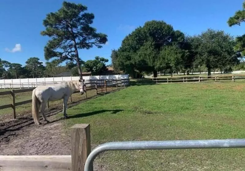 هتل Oyo Family Ranch At Melbourne Fl