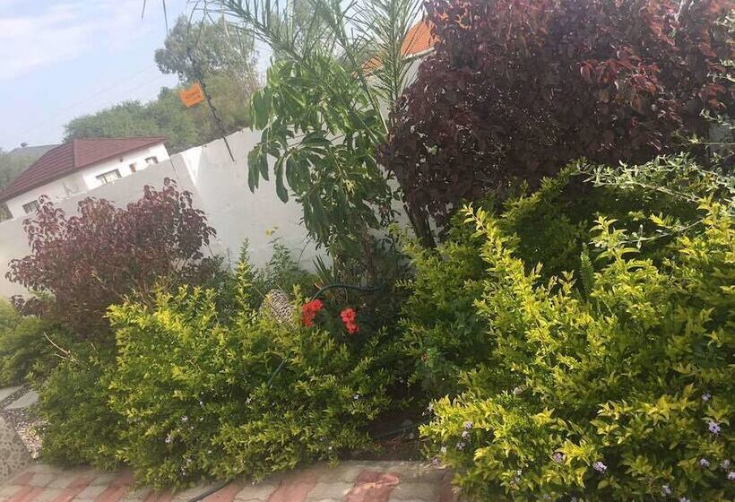 پانسیون Eagle Suites Guest House