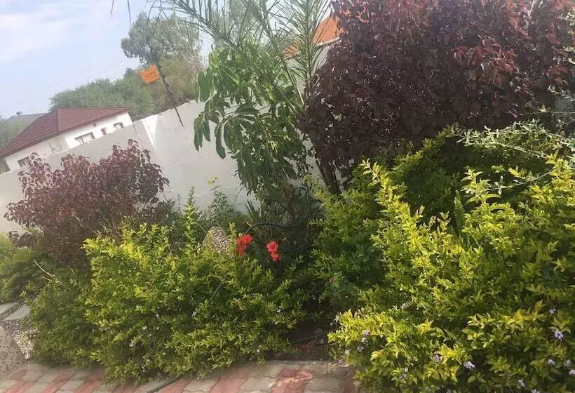 پانسیون Eagle Suites Guest House