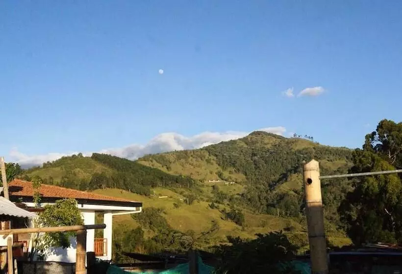 پانسیون Hostal Casa Del Loro   Hostel