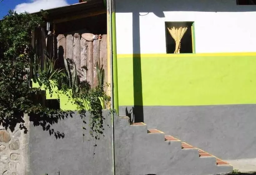 پانسیون Hostal Casa Del Loro   Hostel