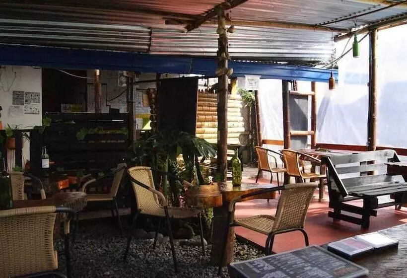 پانسیون Hostal Casa Del Loro   Hostel