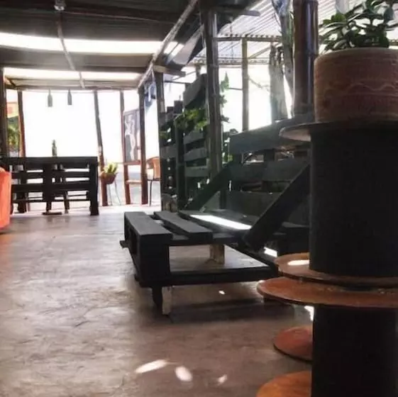 پانسیون Hostal Casa Del Loro   Hostel