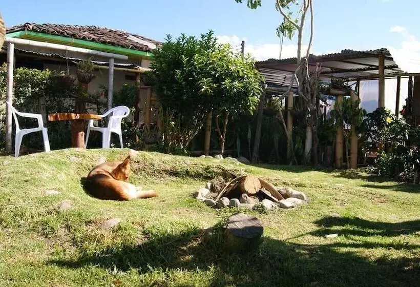 پانسیون Hostal Casa Del Loro   Hostel