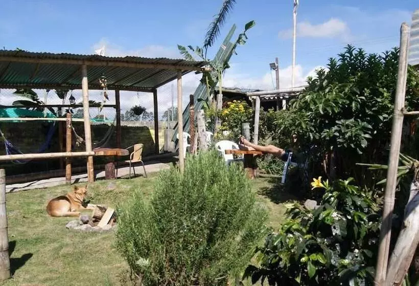 پانسیون Hostal Casa Del Loro   Hostel