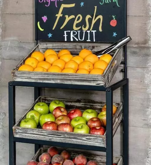 Shashi Hotel Mountain View Palo Alto