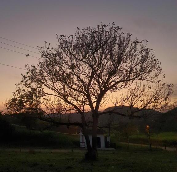 ホテル Pousada Recanto Da Lunane