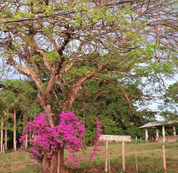 ホテル Pousada Recanto Da Lunane