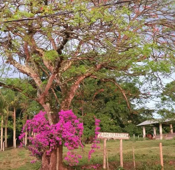 ホテル Pousada Recanto Da Lunane