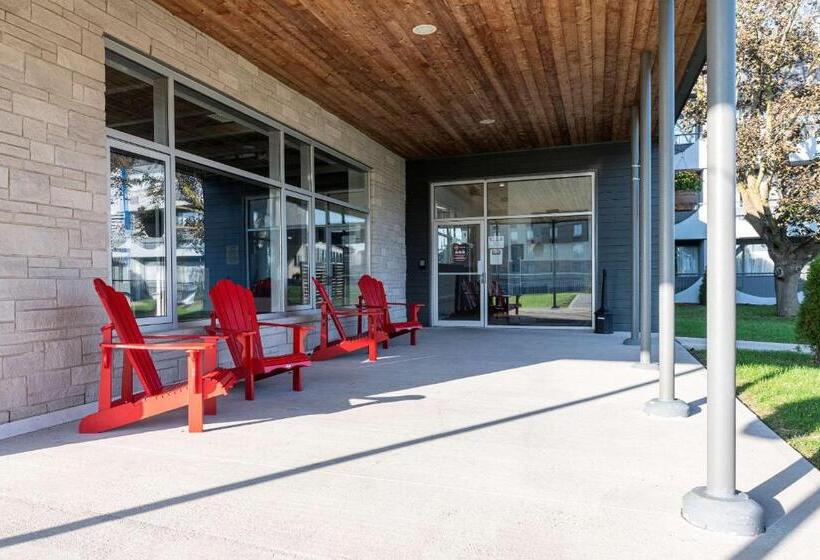 هتل Comfort Suites Kingston Central