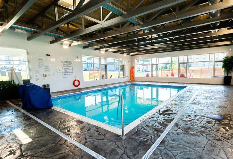 هتل Comfort Suites Kingston Central