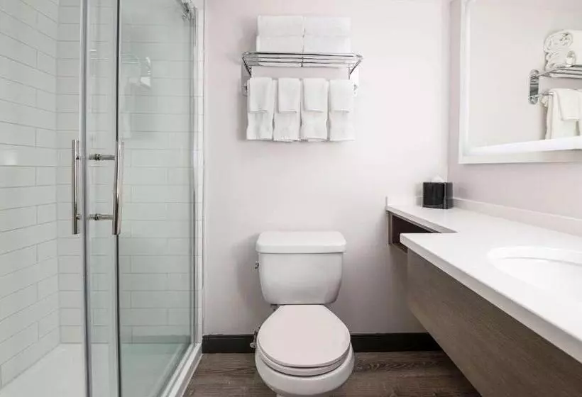 ホテル Comfort Suites Kingston Central