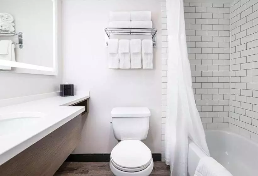 ホテル Comfort Suites Kingston Central