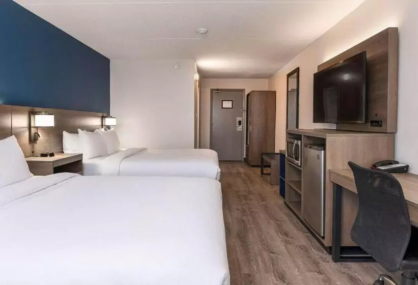 ホテル Comfort Suites Kingston Central