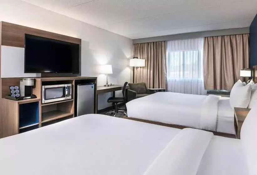 ホテル Comfort Suites Kingston Central