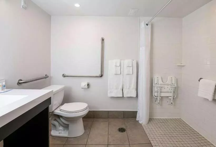 ホテル Comfort Suites Kingston Central