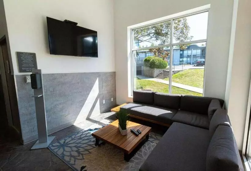 ホテル Comfort Suites Kingston Central