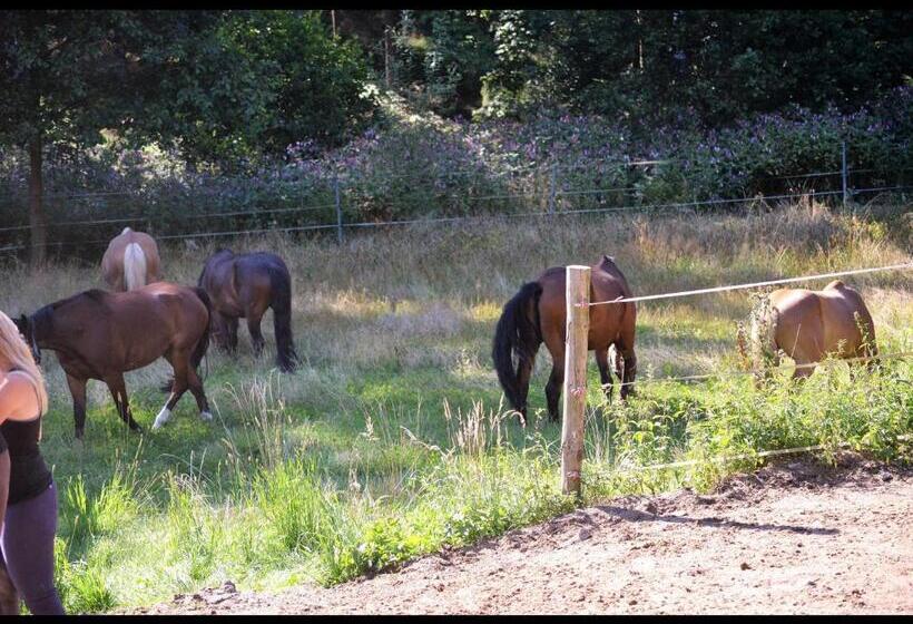 Hotel Reiterhof Finkenmuehle Fewo Boris