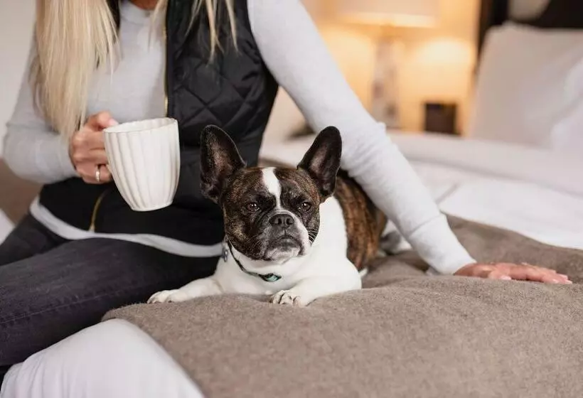 Hotelli The Lodge At St Edward State Park