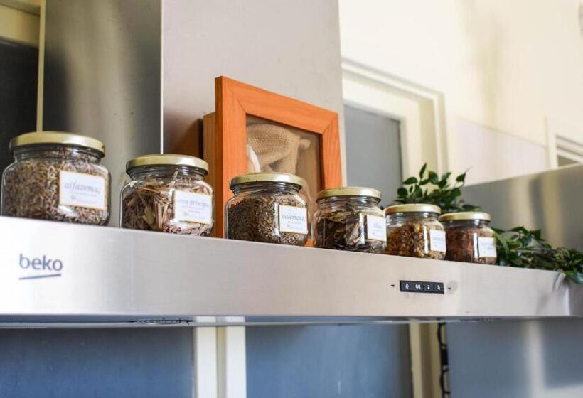 ベッドアンドブレックファースト Batalhoz House