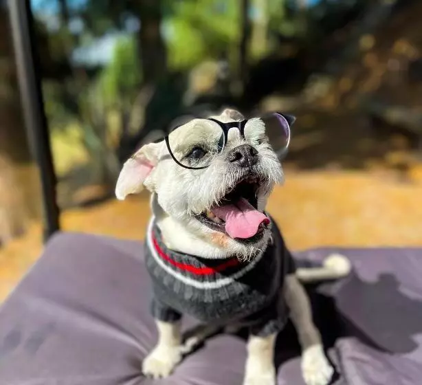 ホテル Cabañas De Lujo   Casa Barcelona