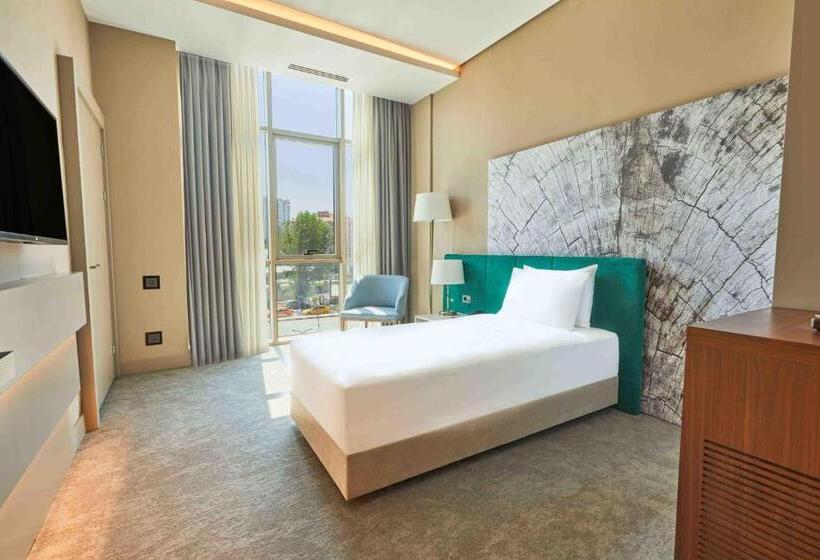 ホテル Park Dedeman Kastamonu