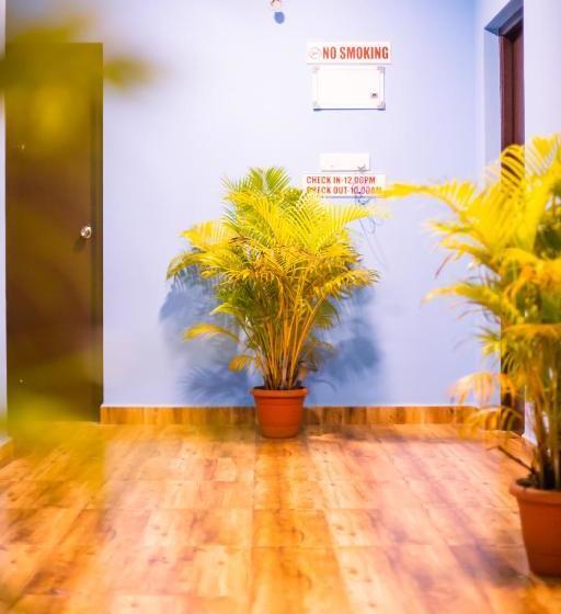 펜션 Pinnacle Mist , Calangute Beach Road